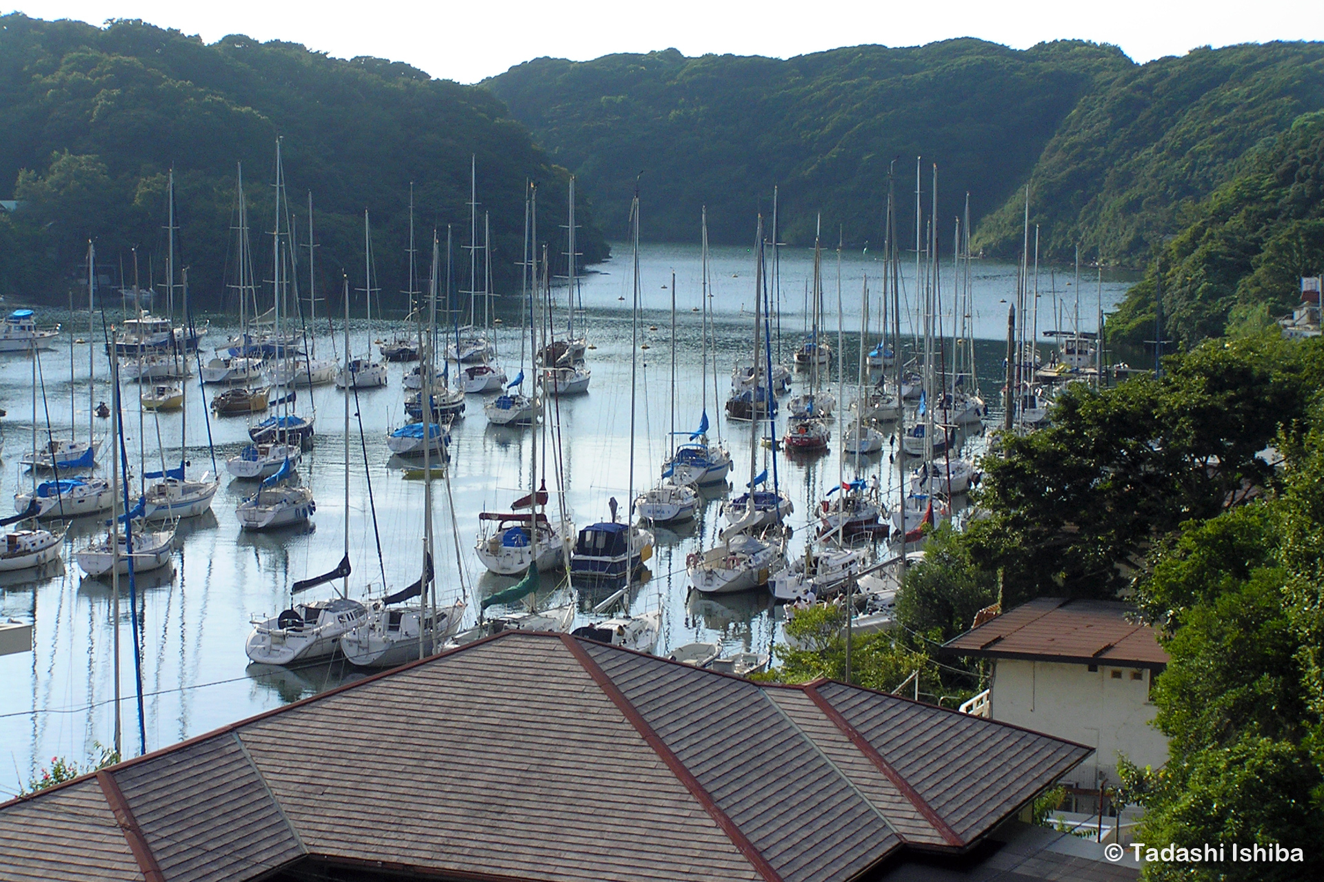 油壺湾のヨットハーバー