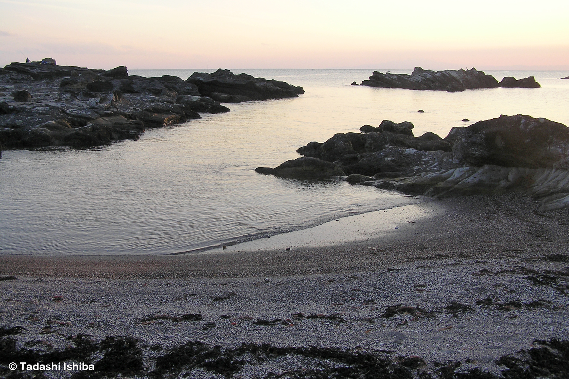 三崎港近くの海岸