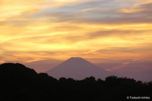 美しい夕焼けと富士山