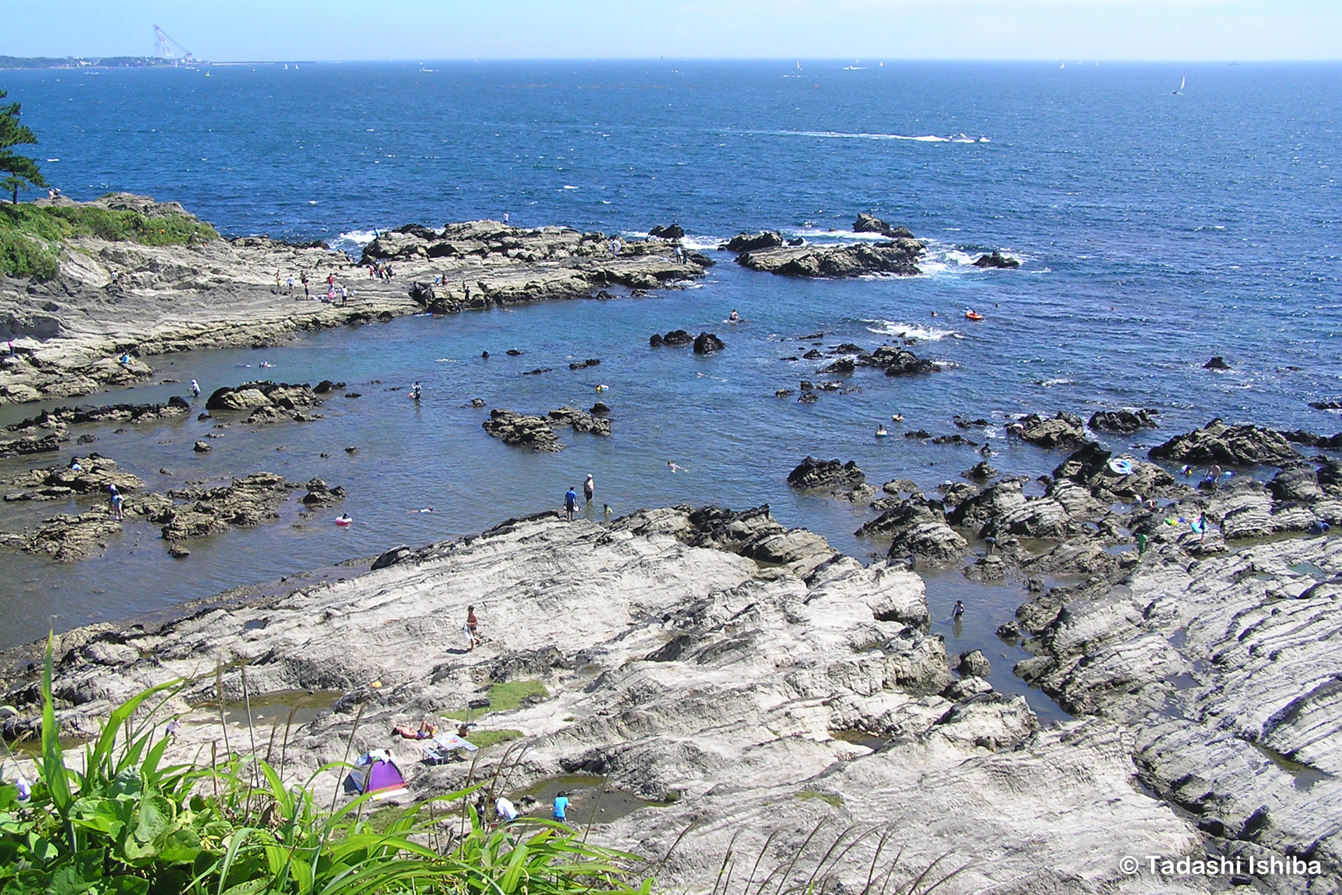 荒崎の独特な岩礁