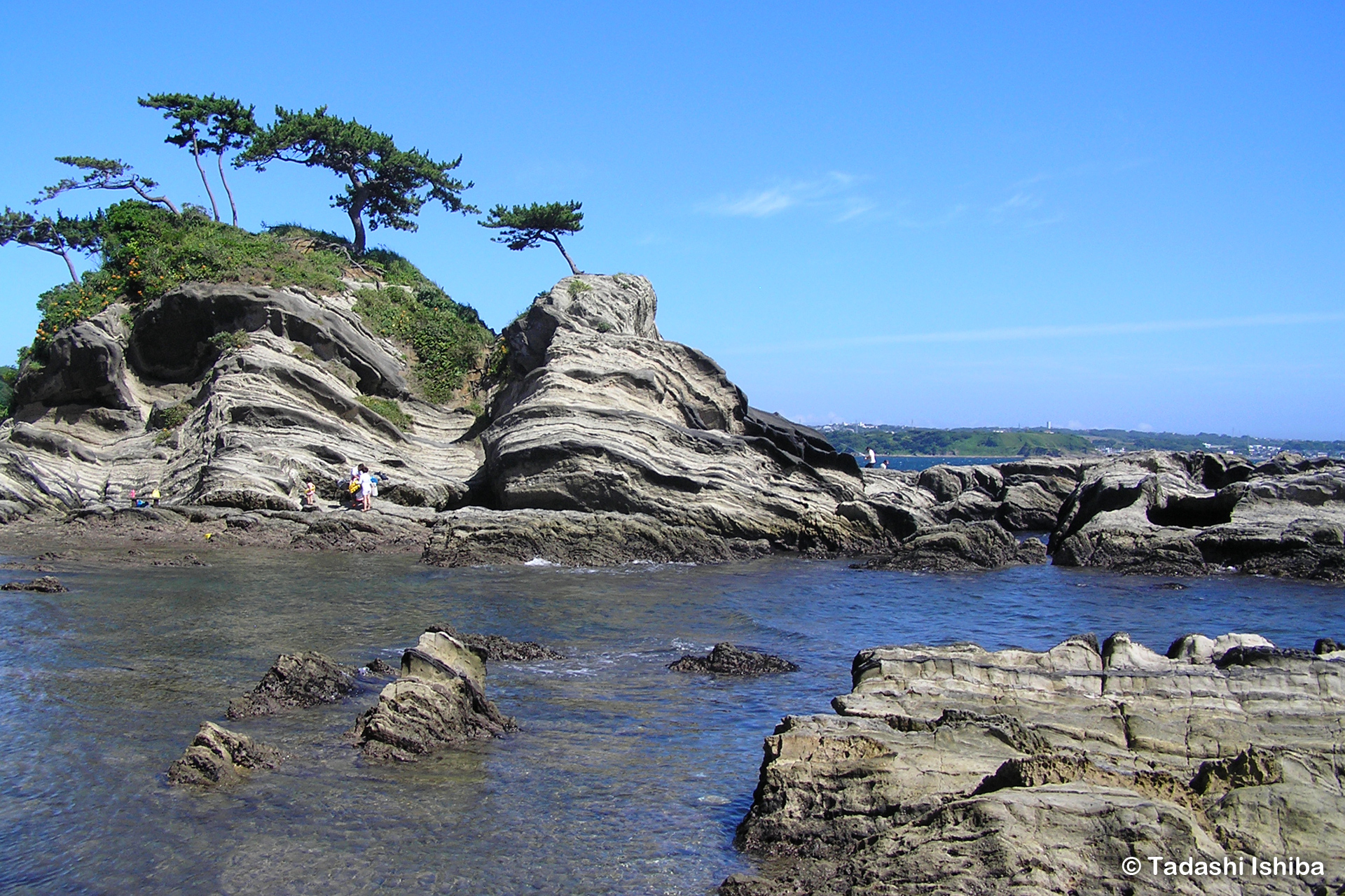 荒崎の美しい岩