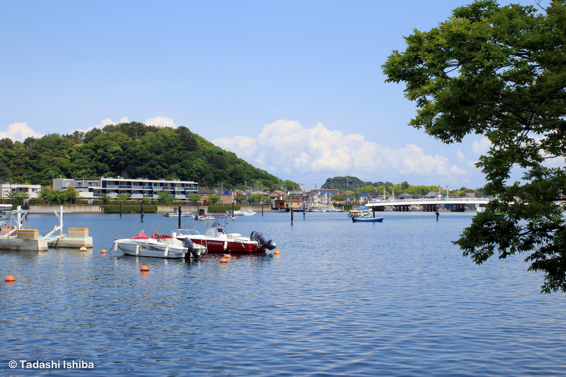 金沢八景