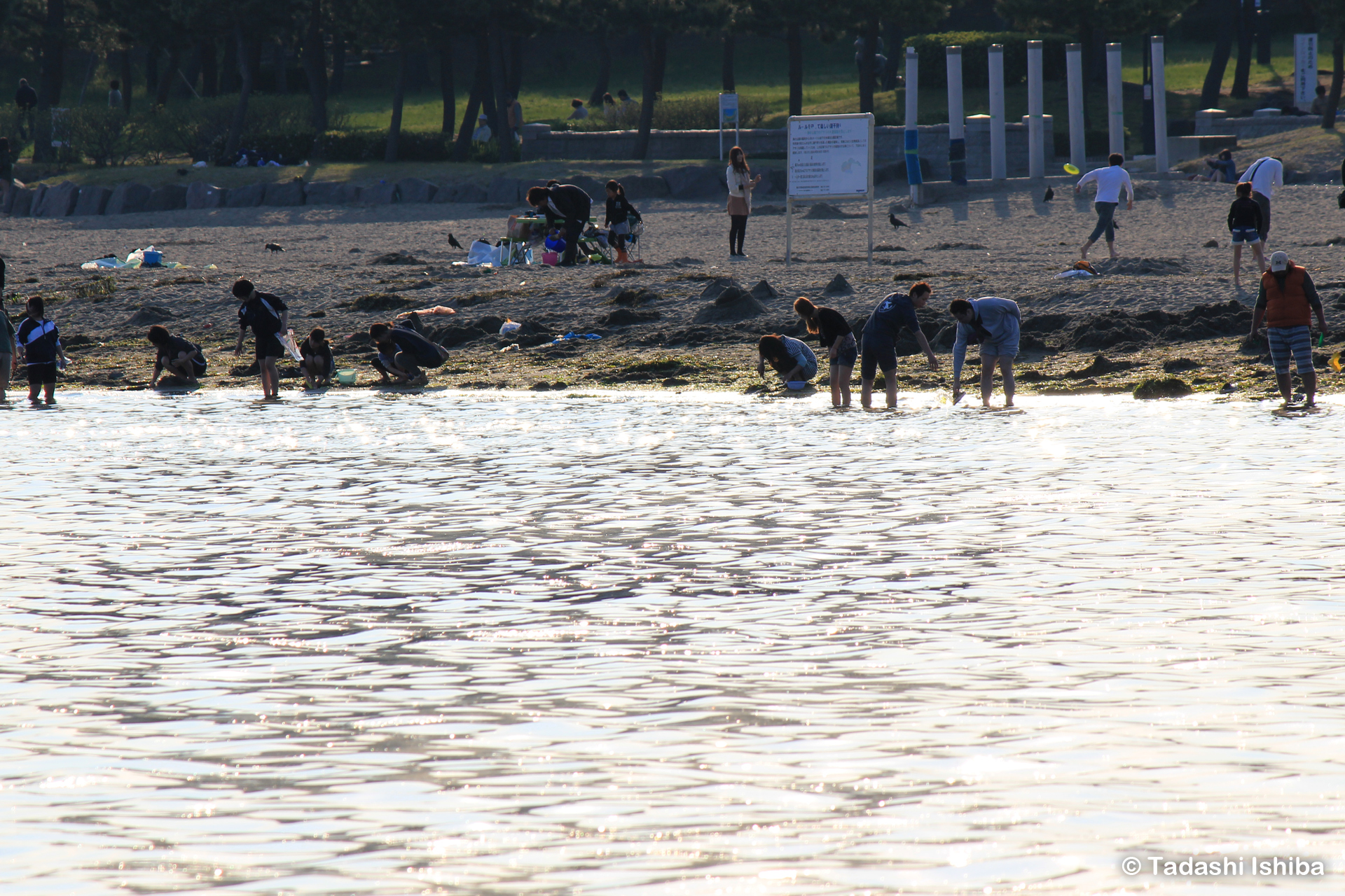 海の公園で潮干狩り