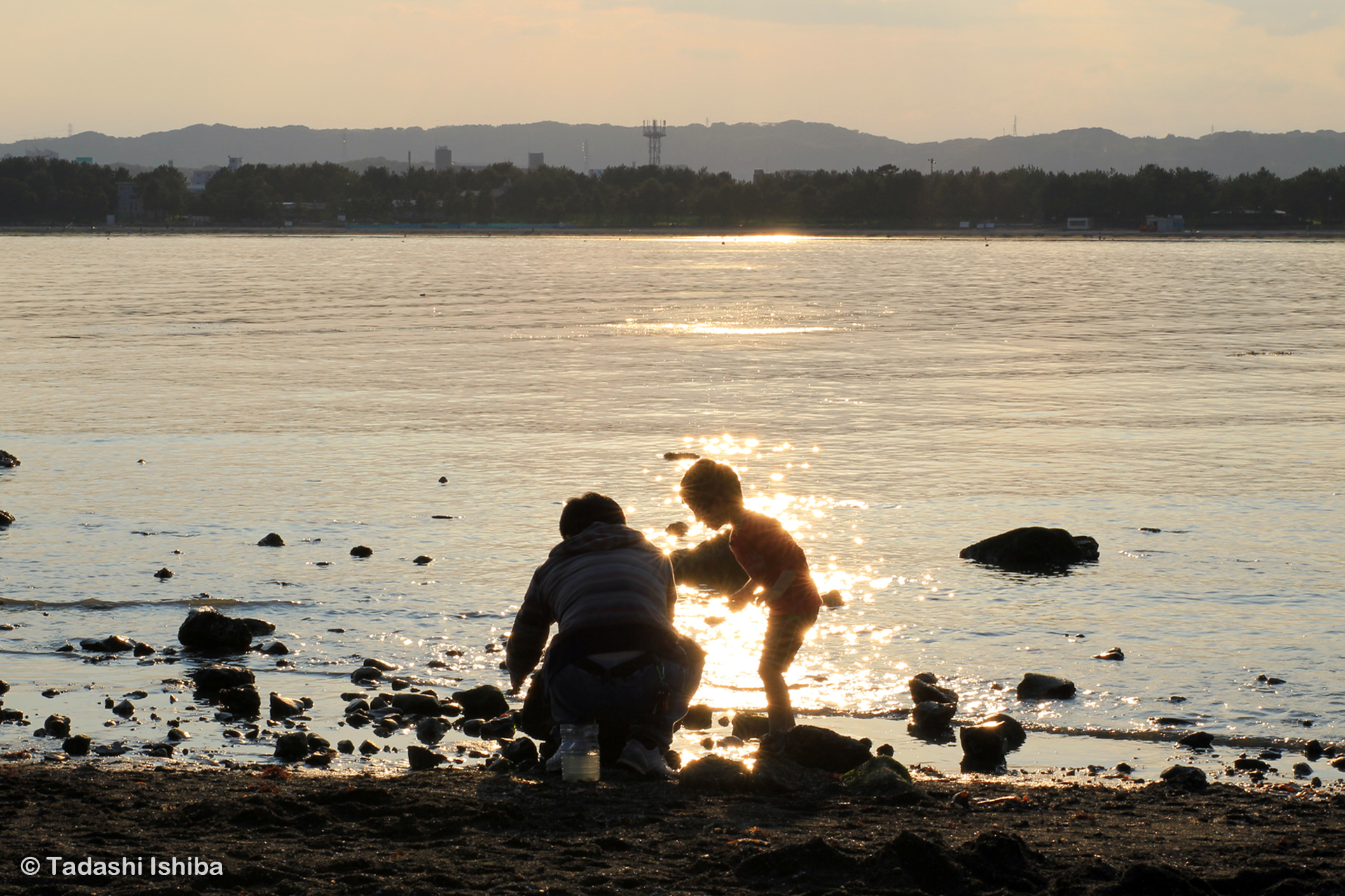 海の公園の夕暮れ