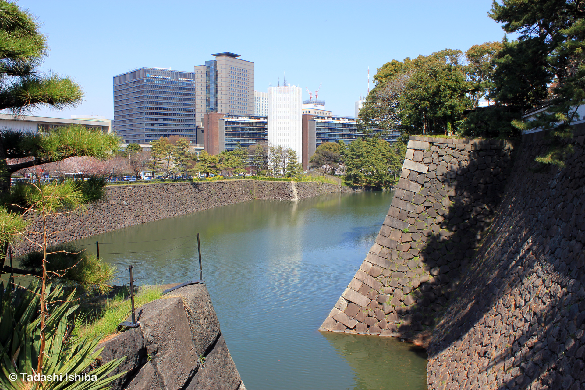 内堀と石垣