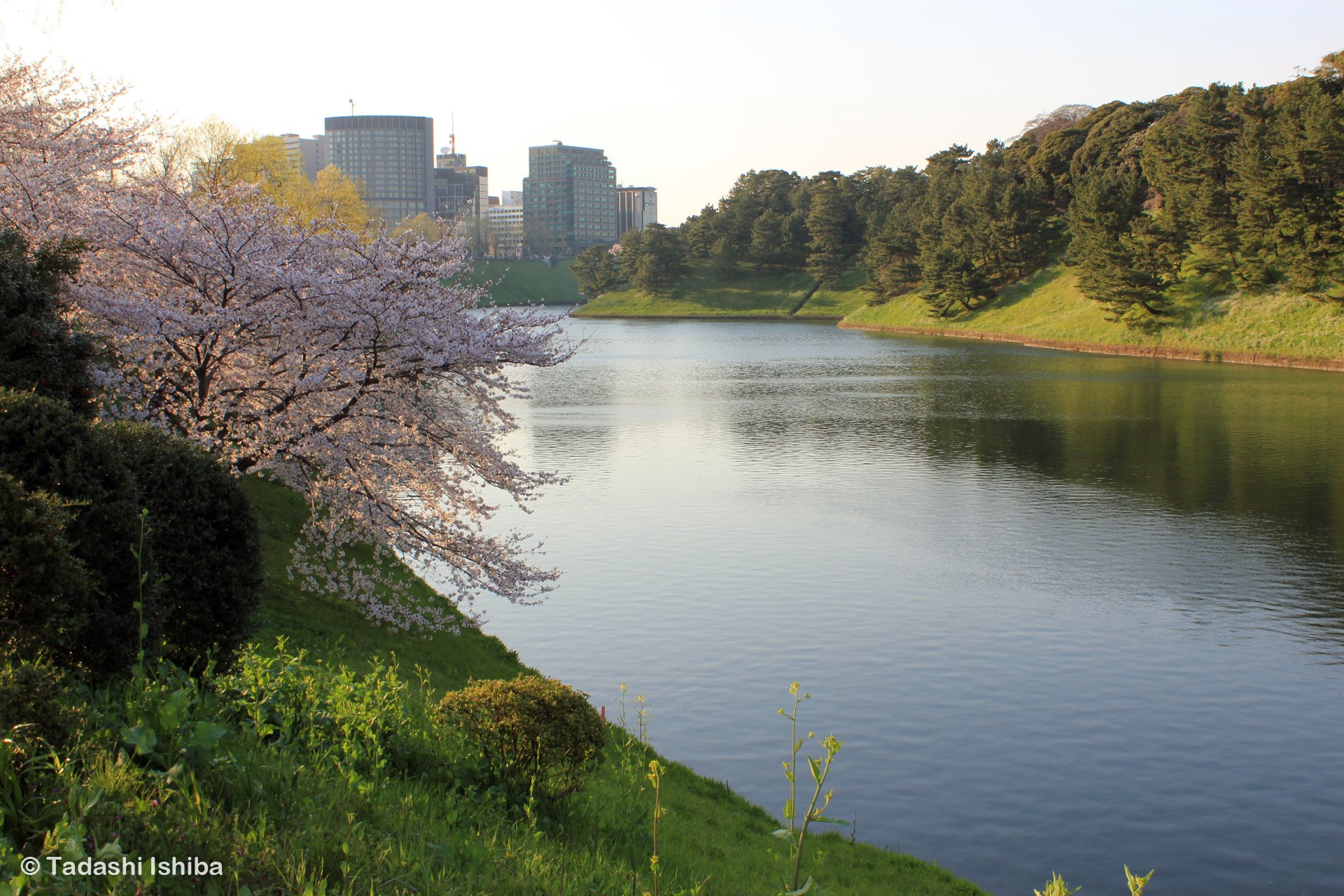 桜田濠