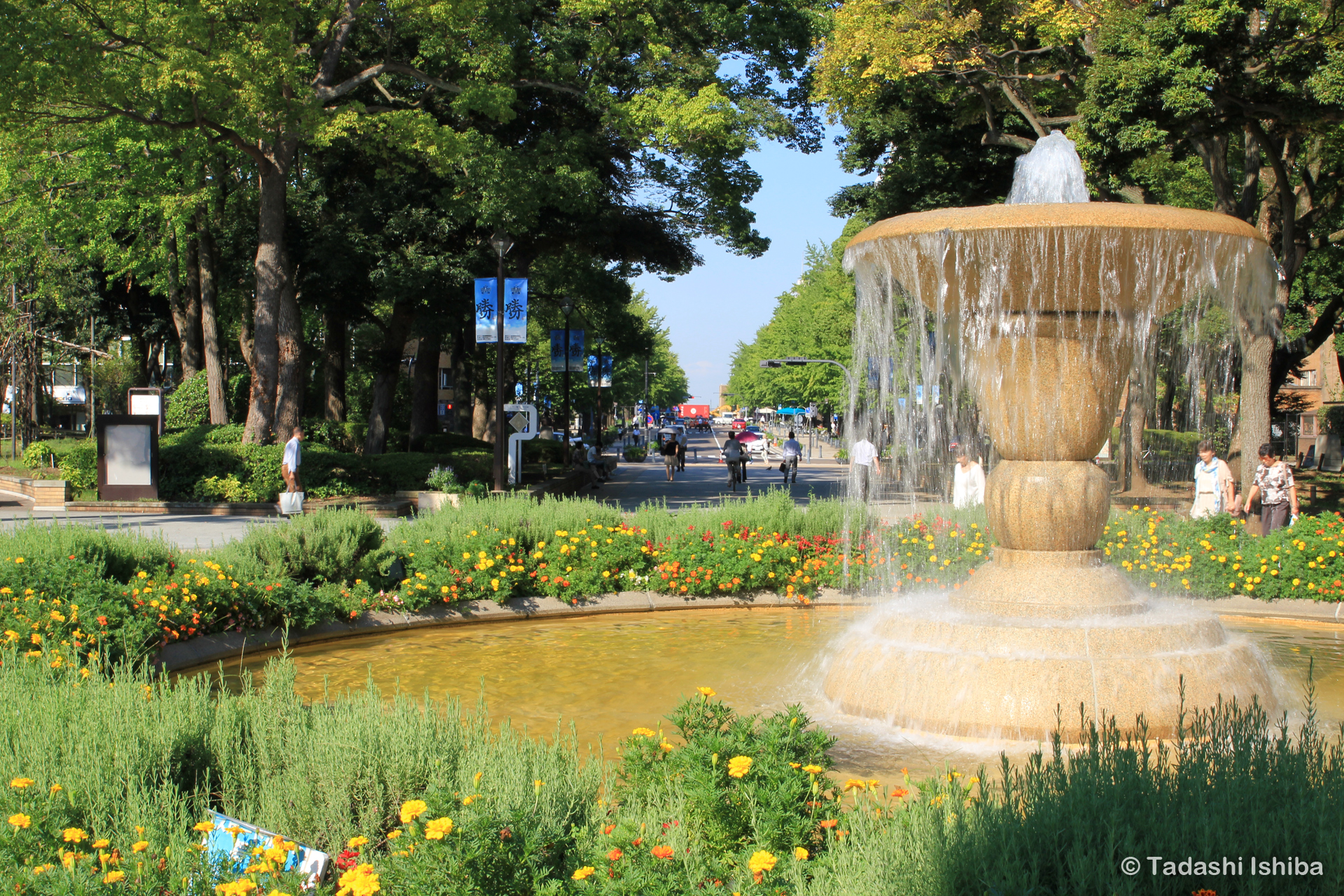 横浜公園の噴水