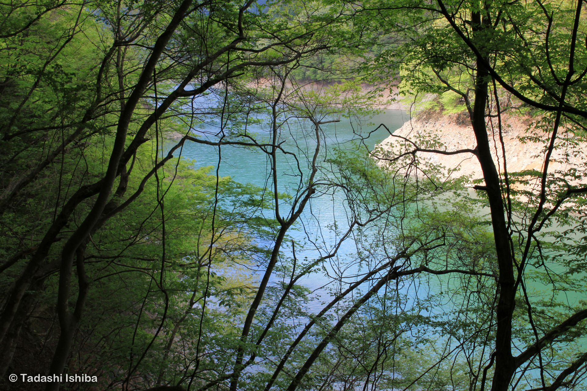 奥多摩湖の美しい水面