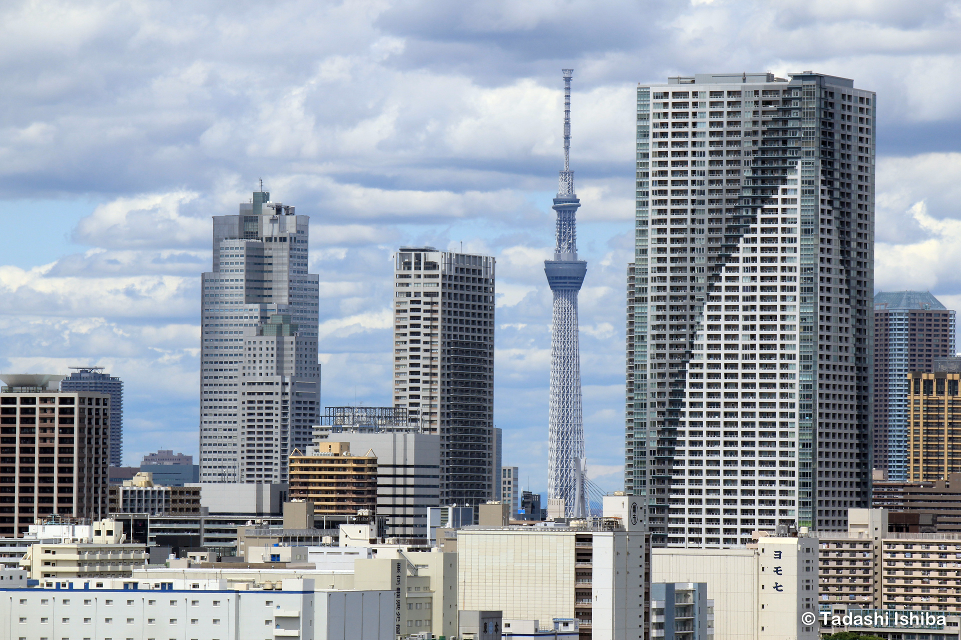 お台場から見えるスカイツリー