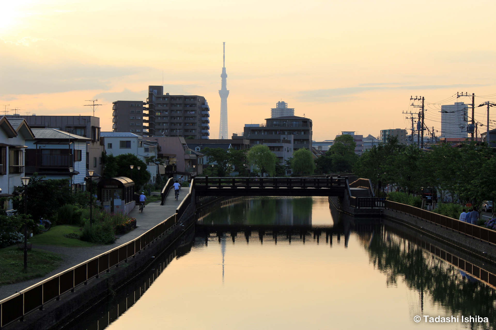 夕暮れのスカイツリー