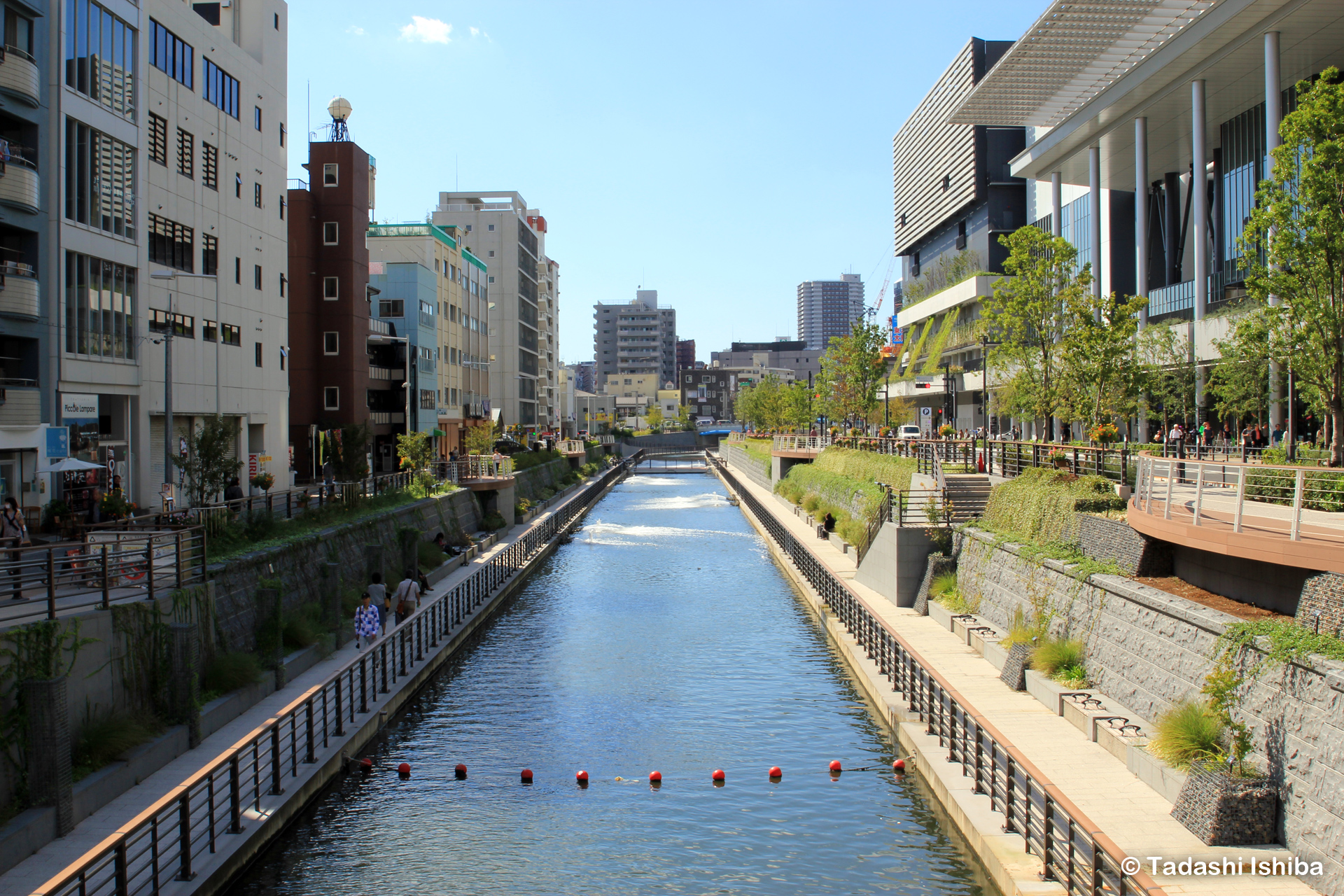 スカイツリーの下を流れる北十間川