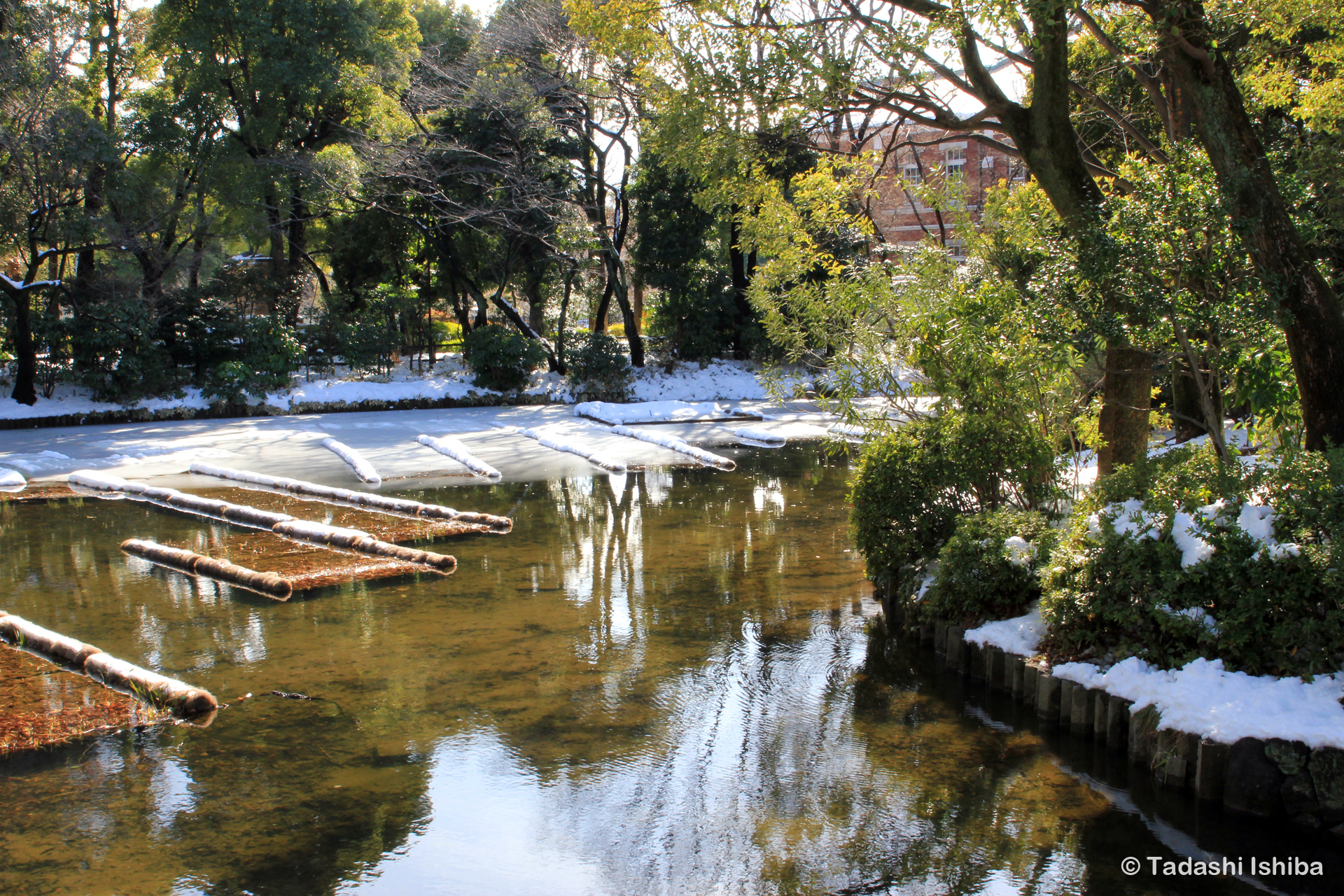 雪の日の北の丸公園