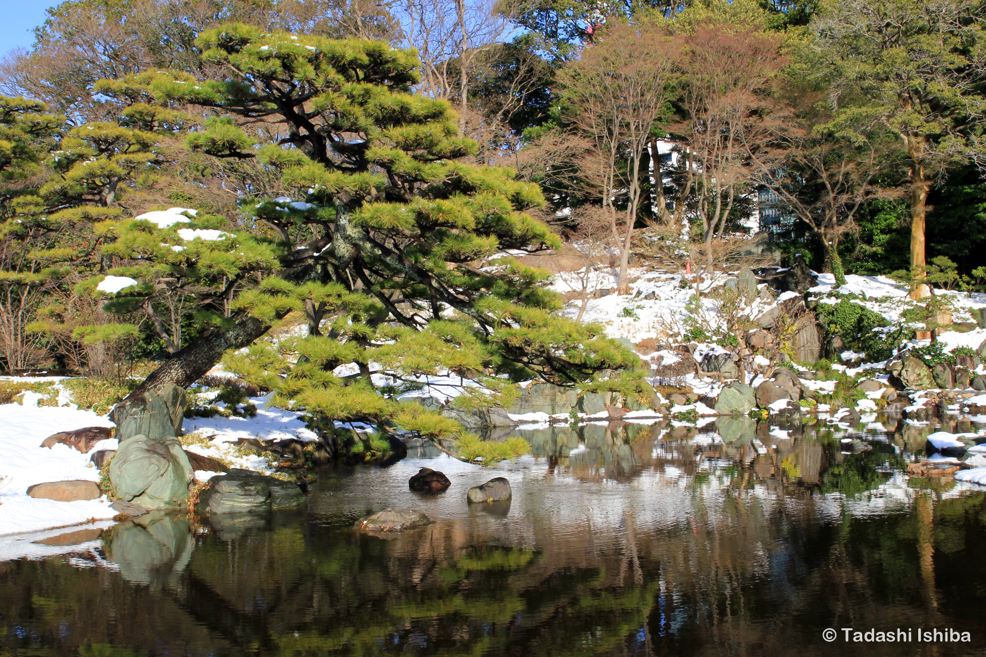 皇居東御苑の池