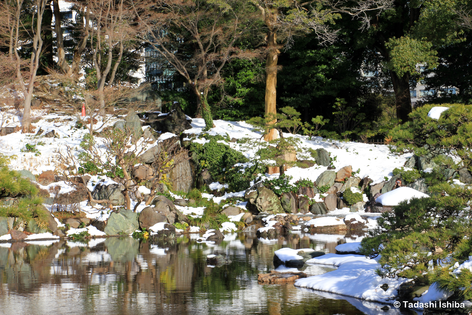 皇居東御苑の池