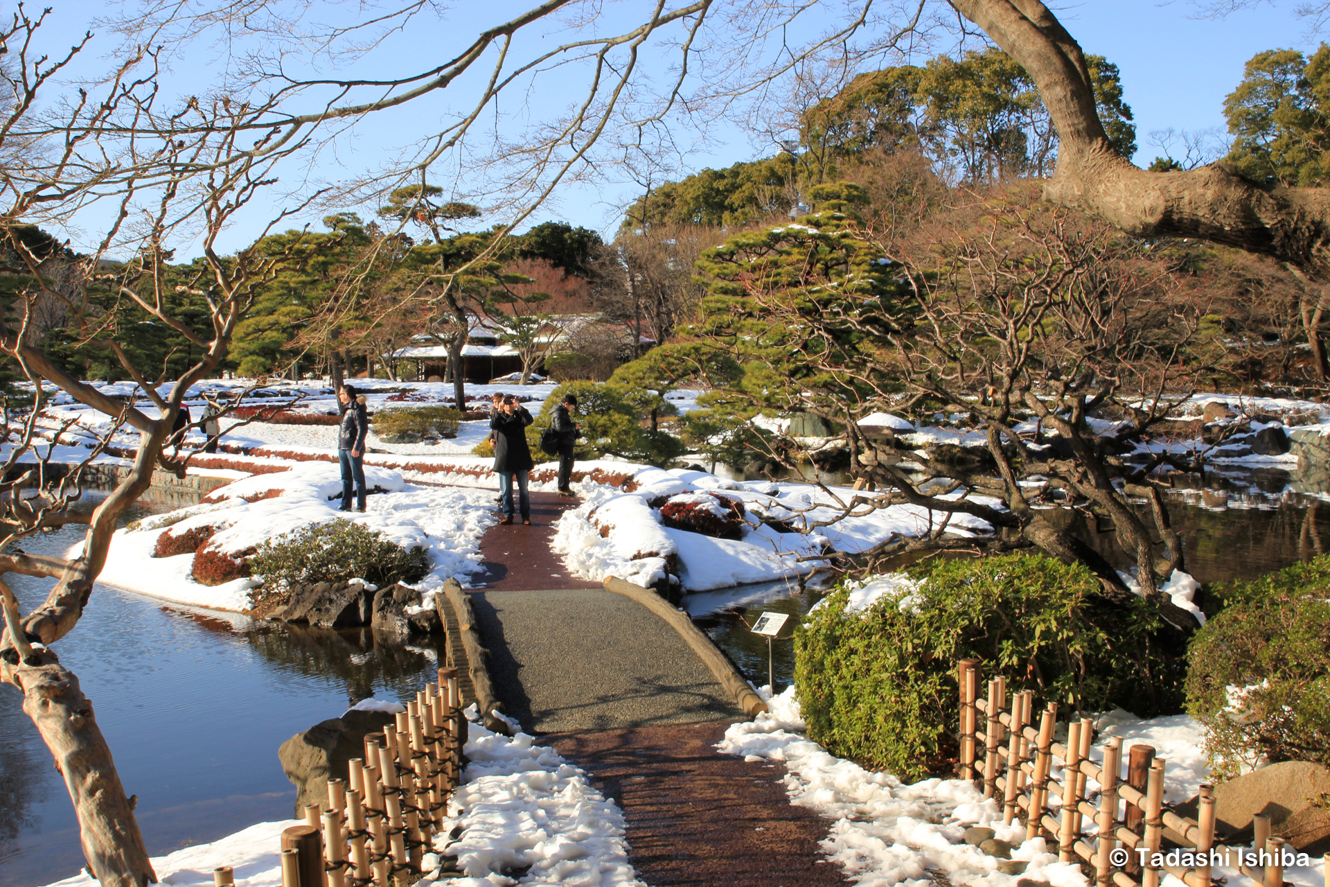 雪の積もった東御苑