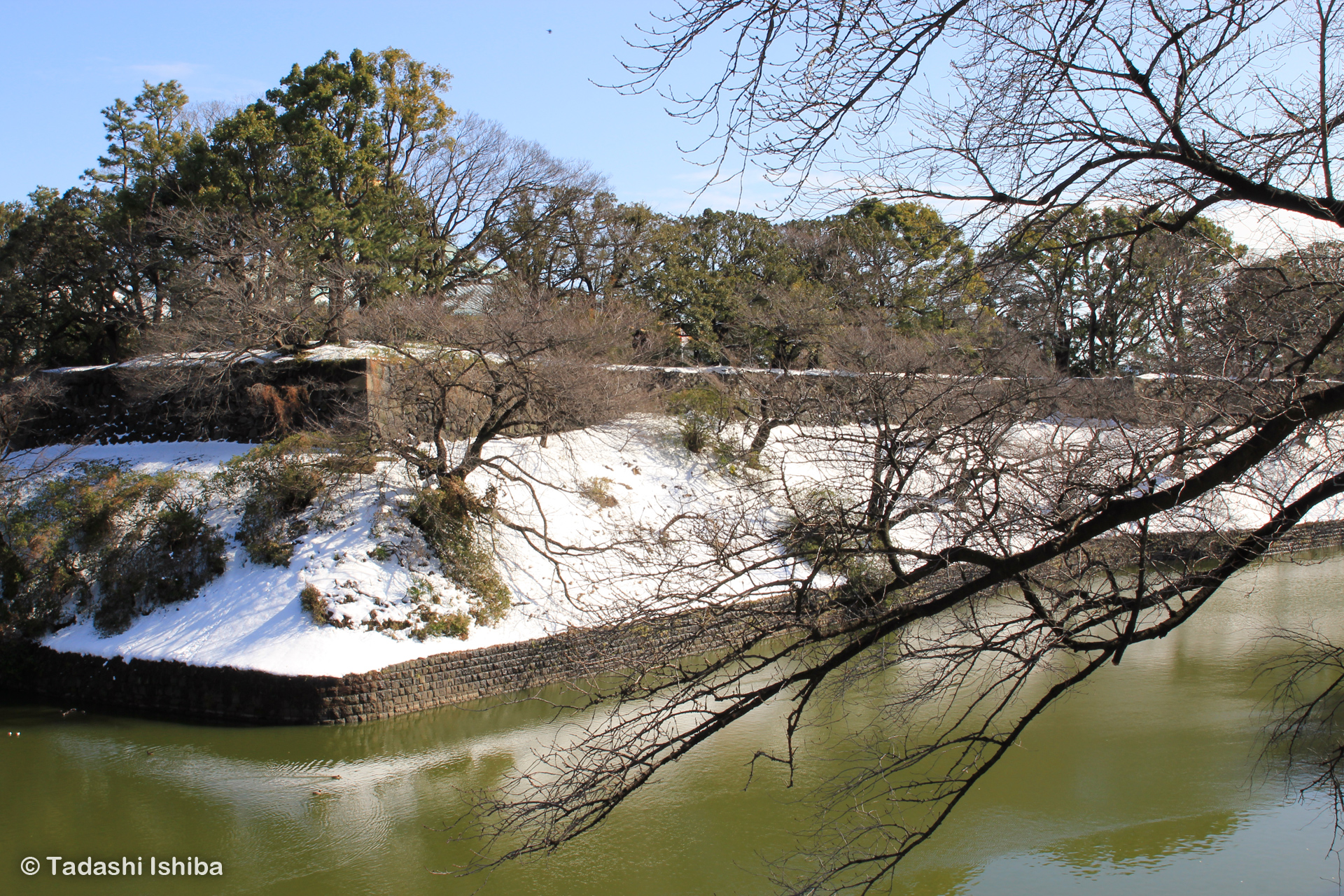 千鳥ヶ淵の雪景色