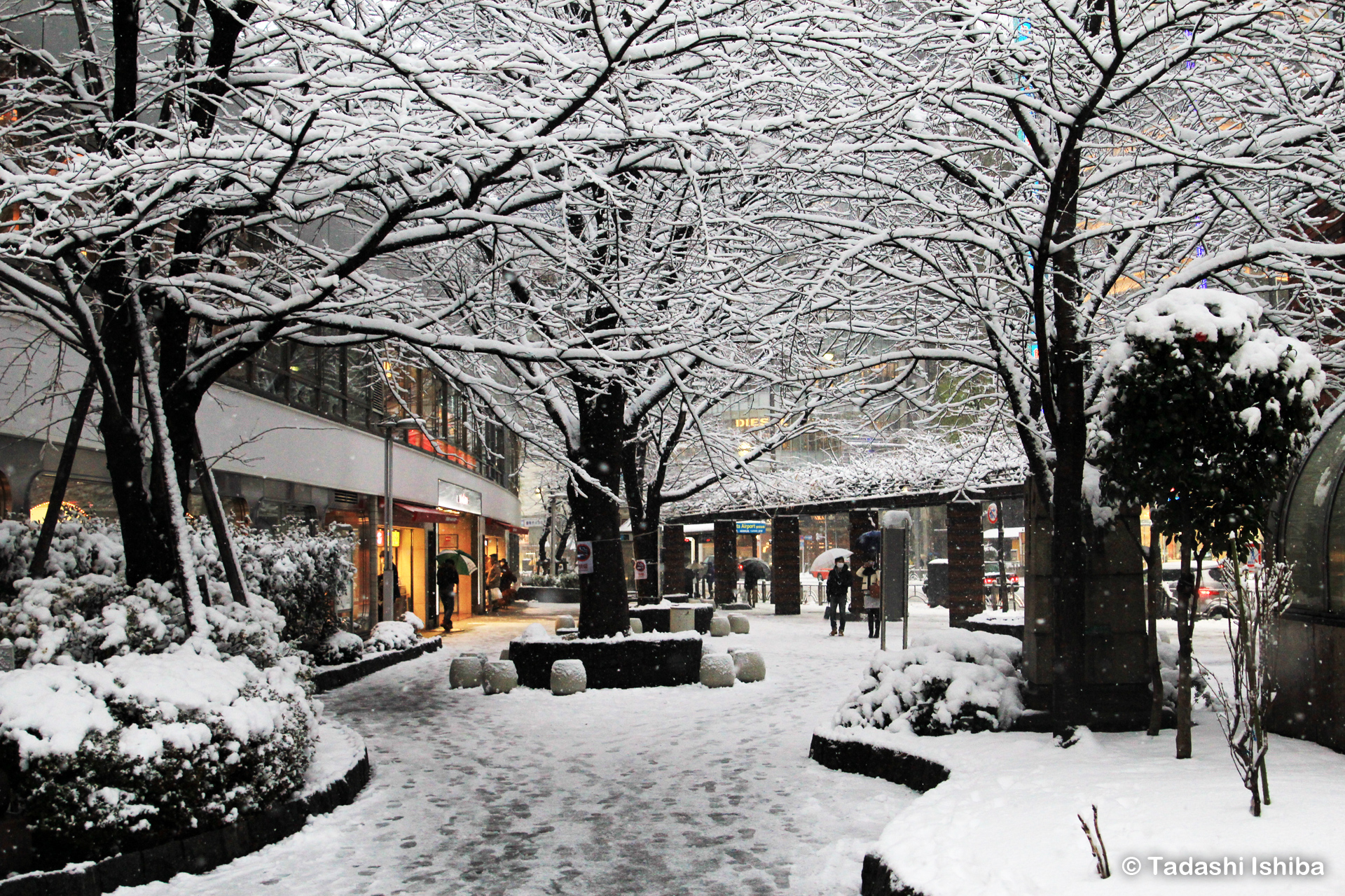 大雪の有楽町