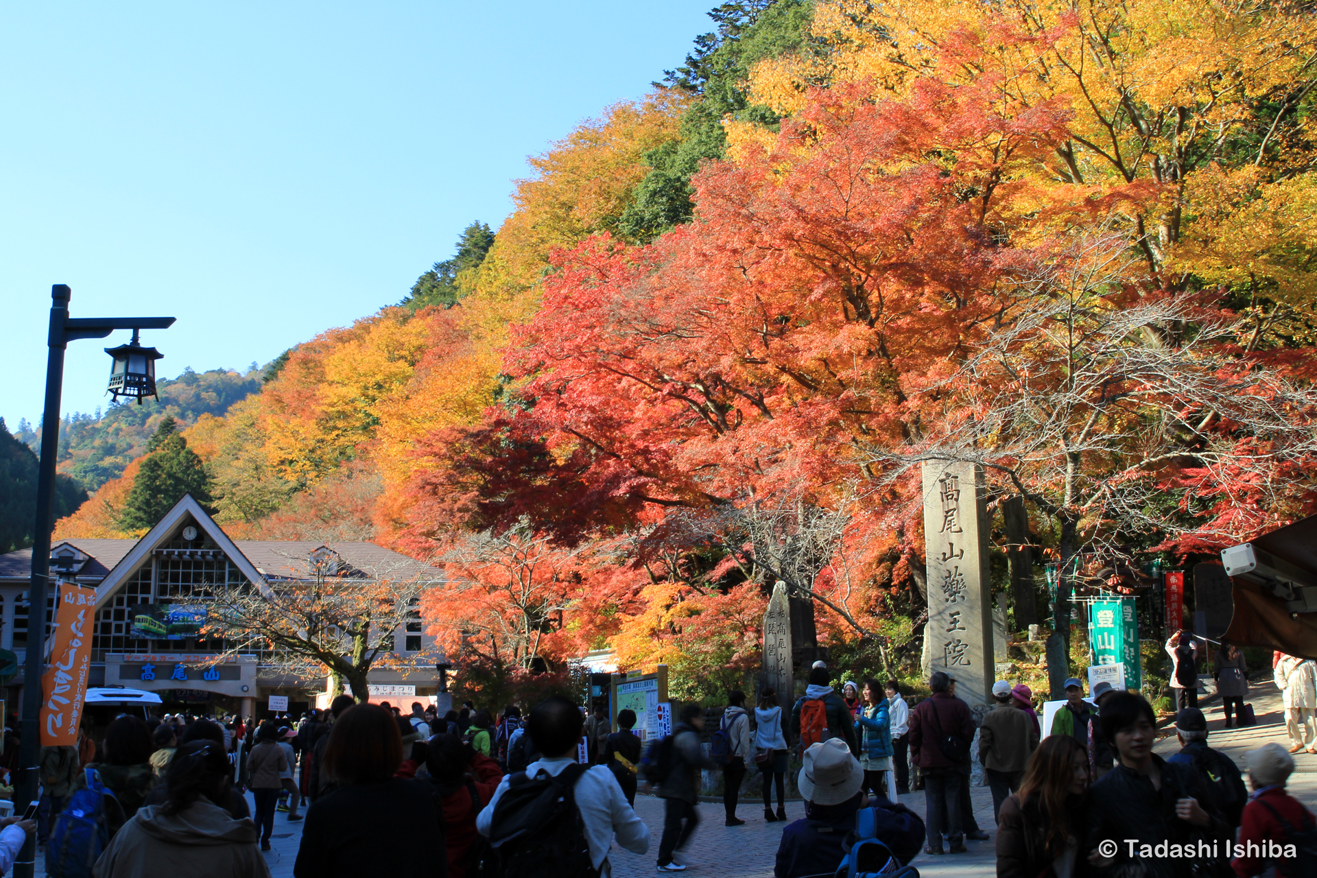 秋の高尾山