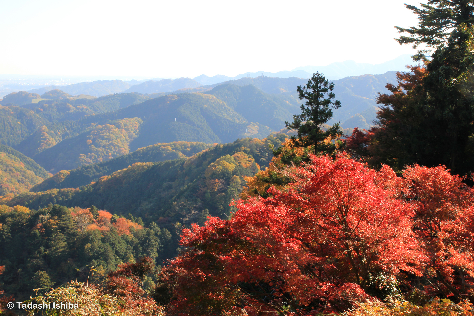 高尾山からの眺め