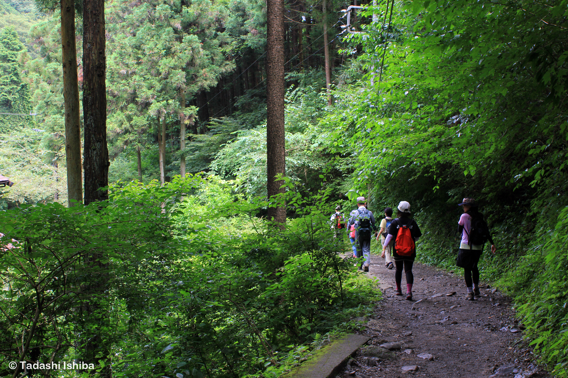 高尾山登山道