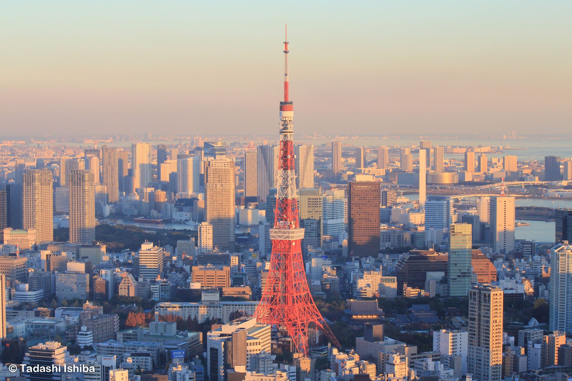 六本木ヒルズから見た東京タワー