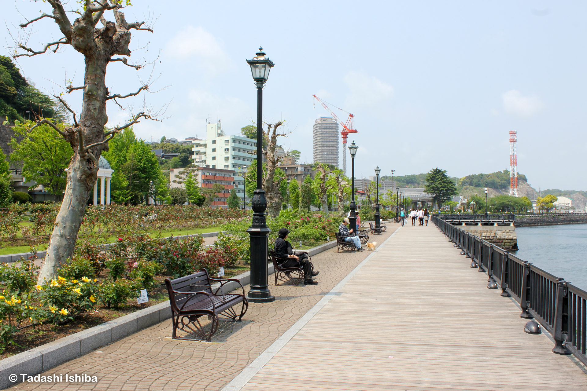 横須賀ヴェルニー公園