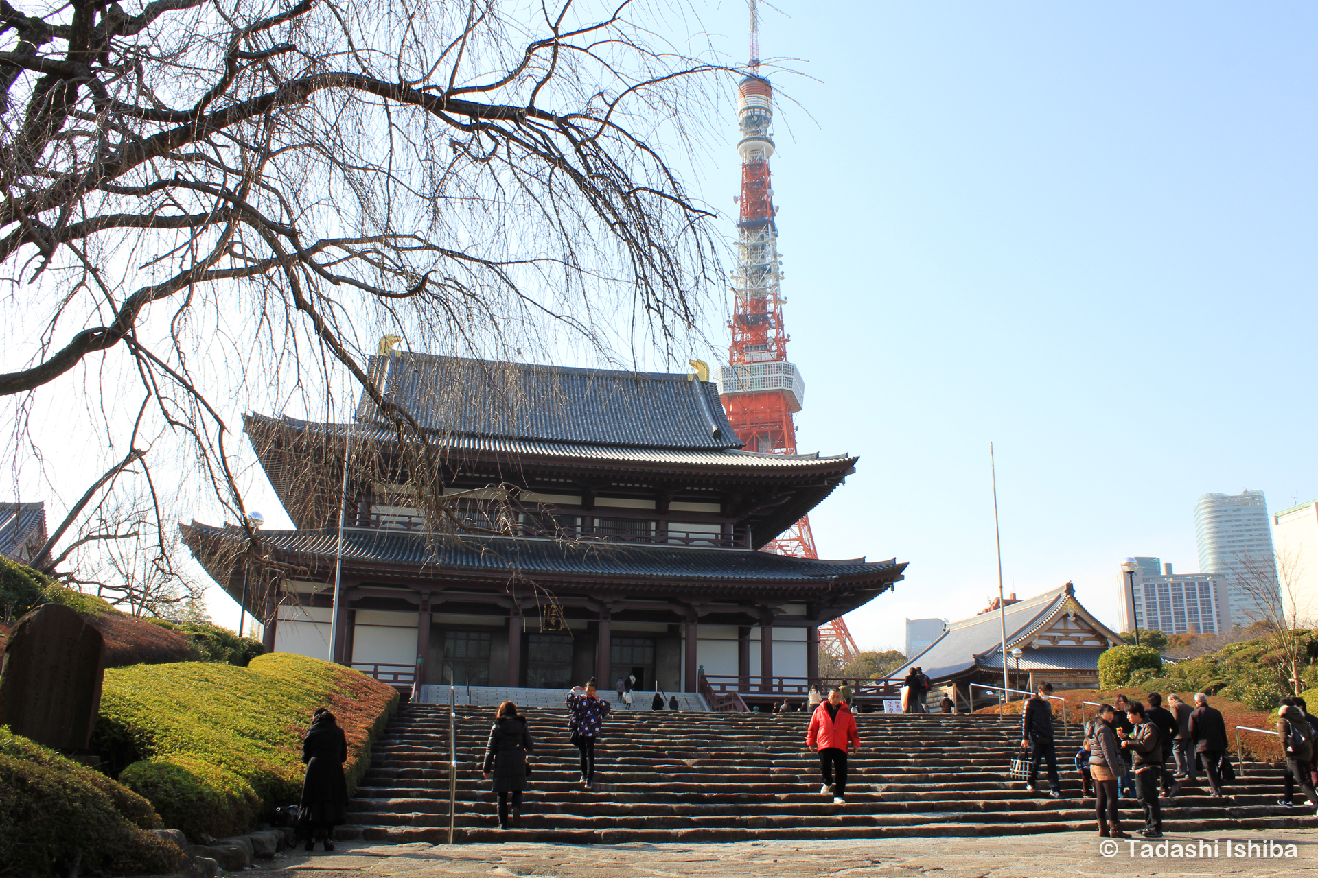 増上寺大殿と東京タワー