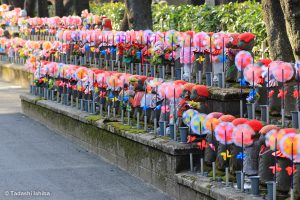 増上寺の水子地蔵