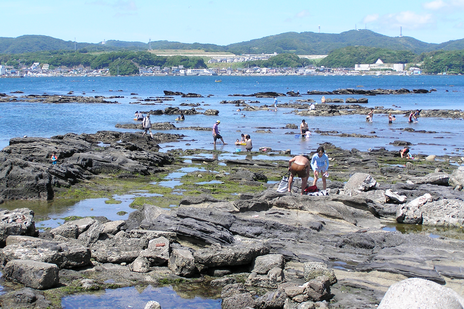 小和田湾の岩場で遊ぶ人たち