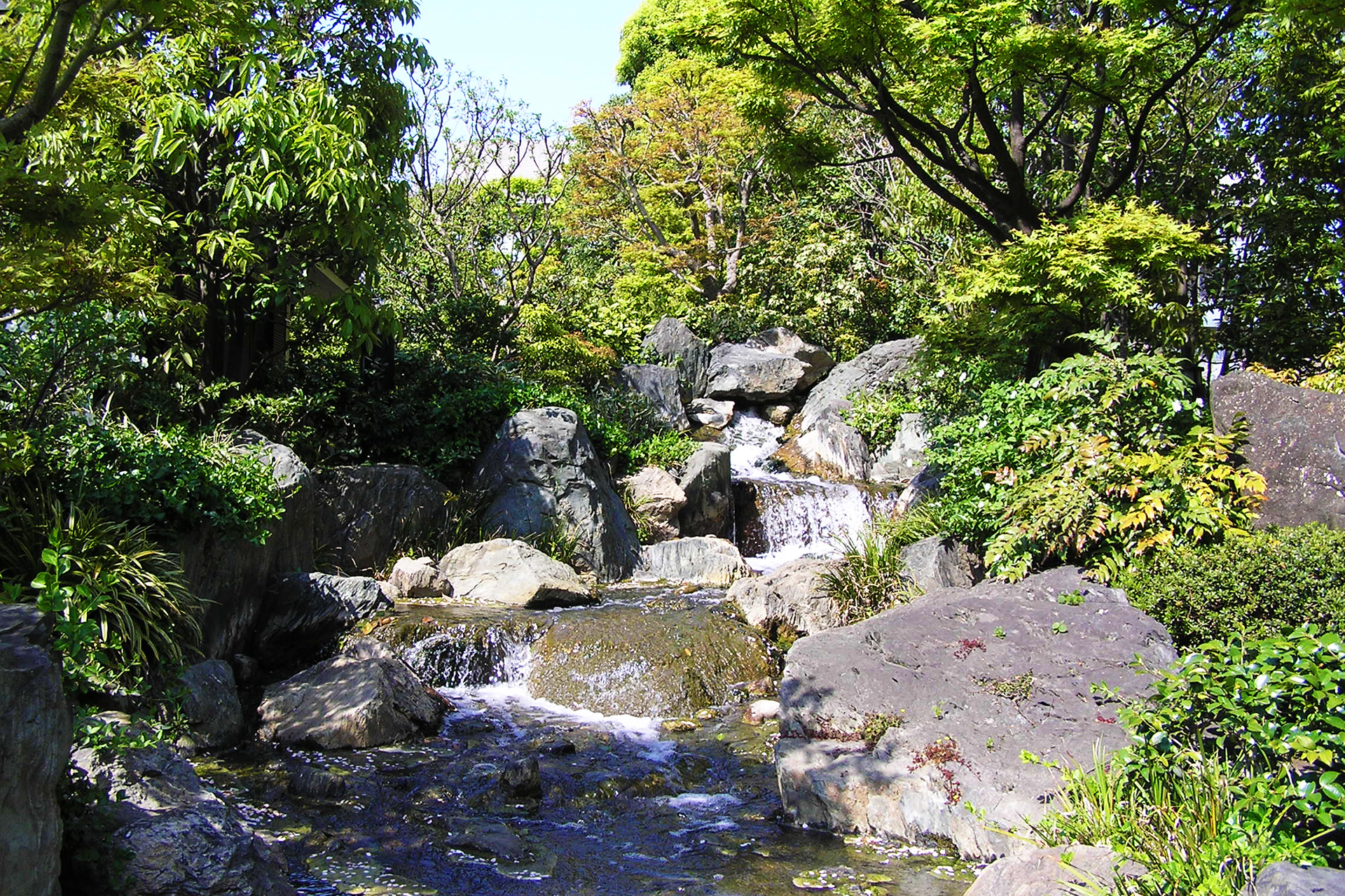 浅草寺境内の滝