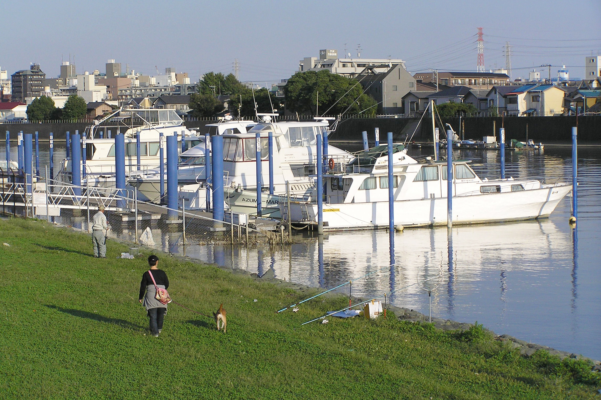 旧江戸川、犬を散歩させる人