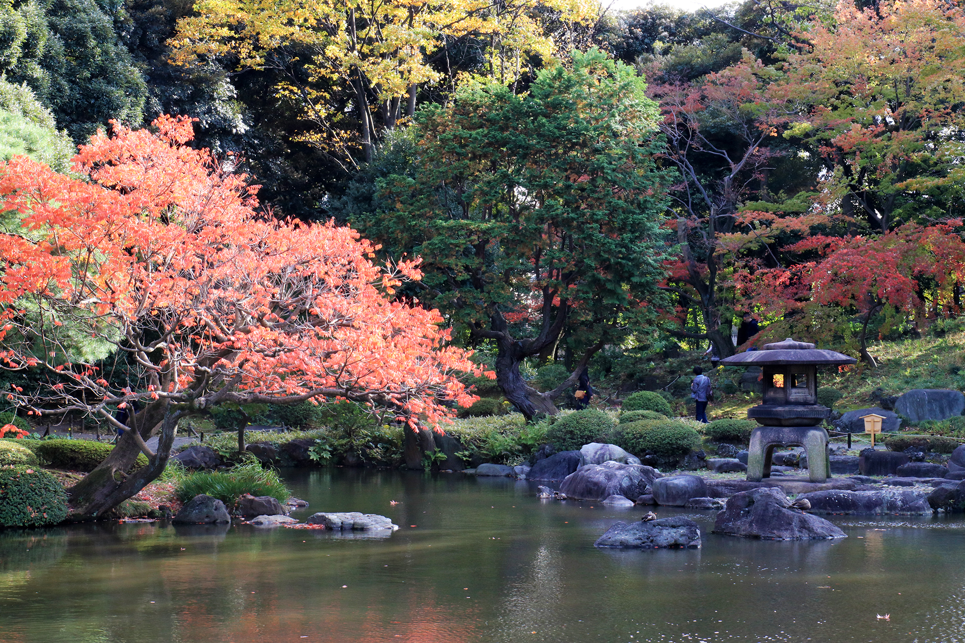 旧古河邸の日本庭園