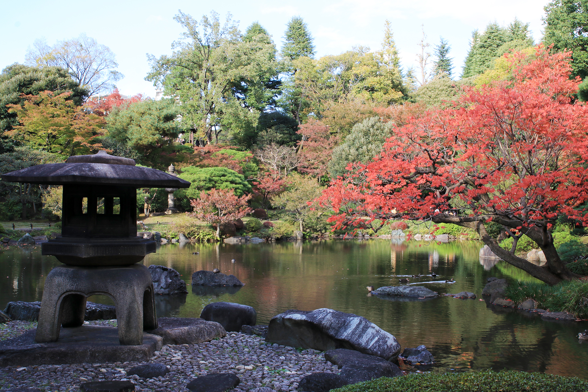 旧古河邸の日本庭園