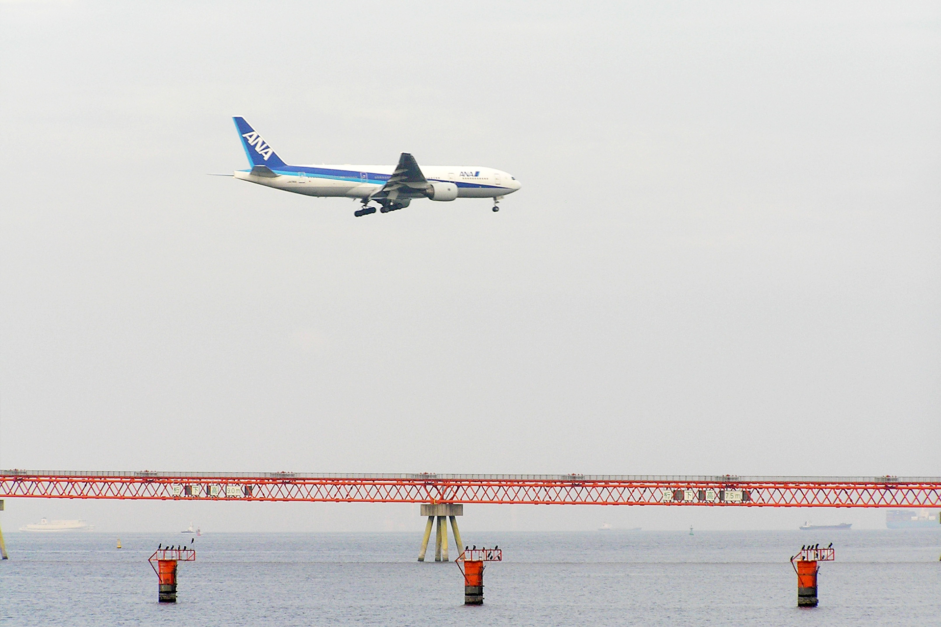 着陸体勢に入った旅客機