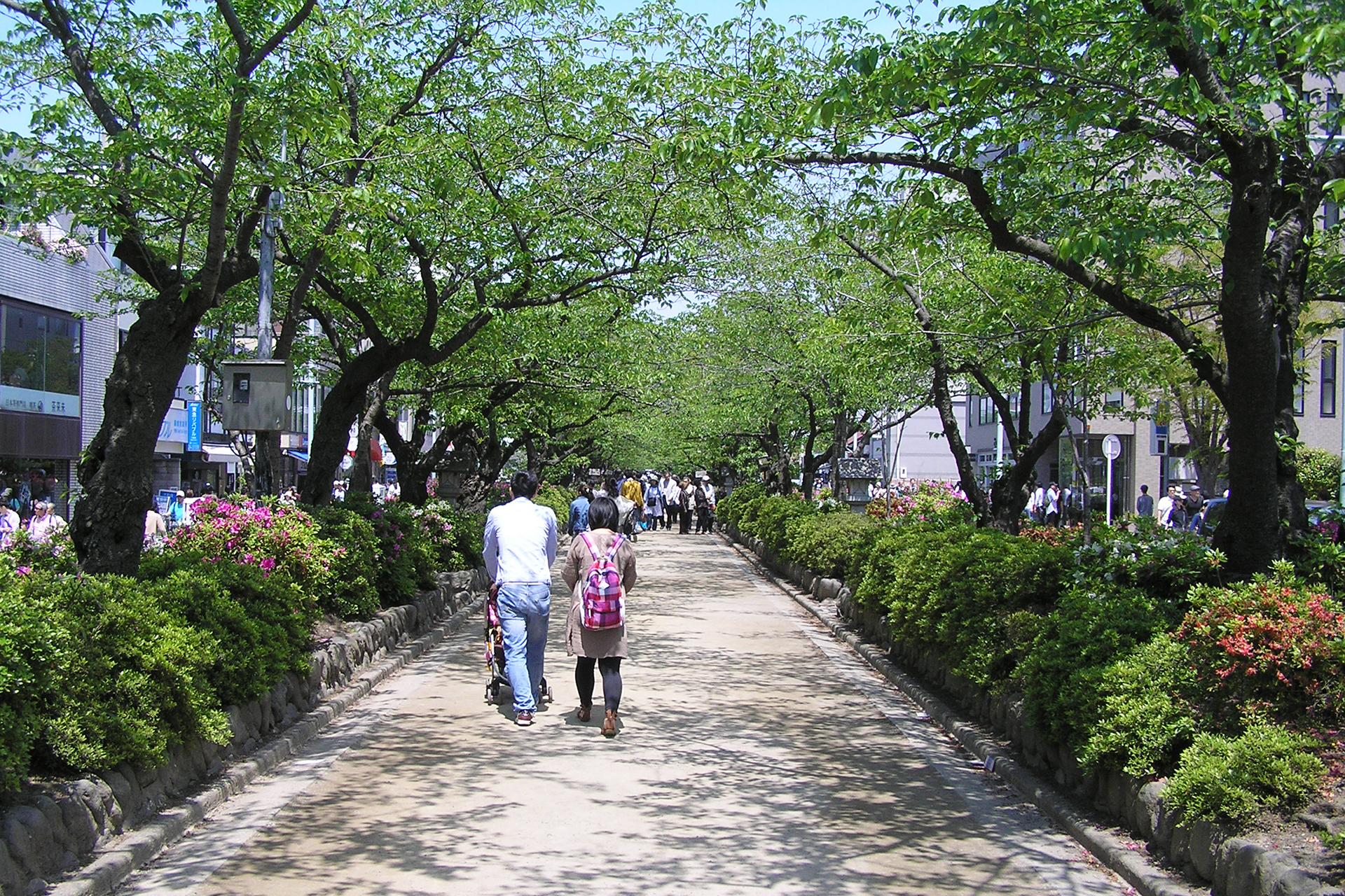 鶴岡八幡宮につづく参道