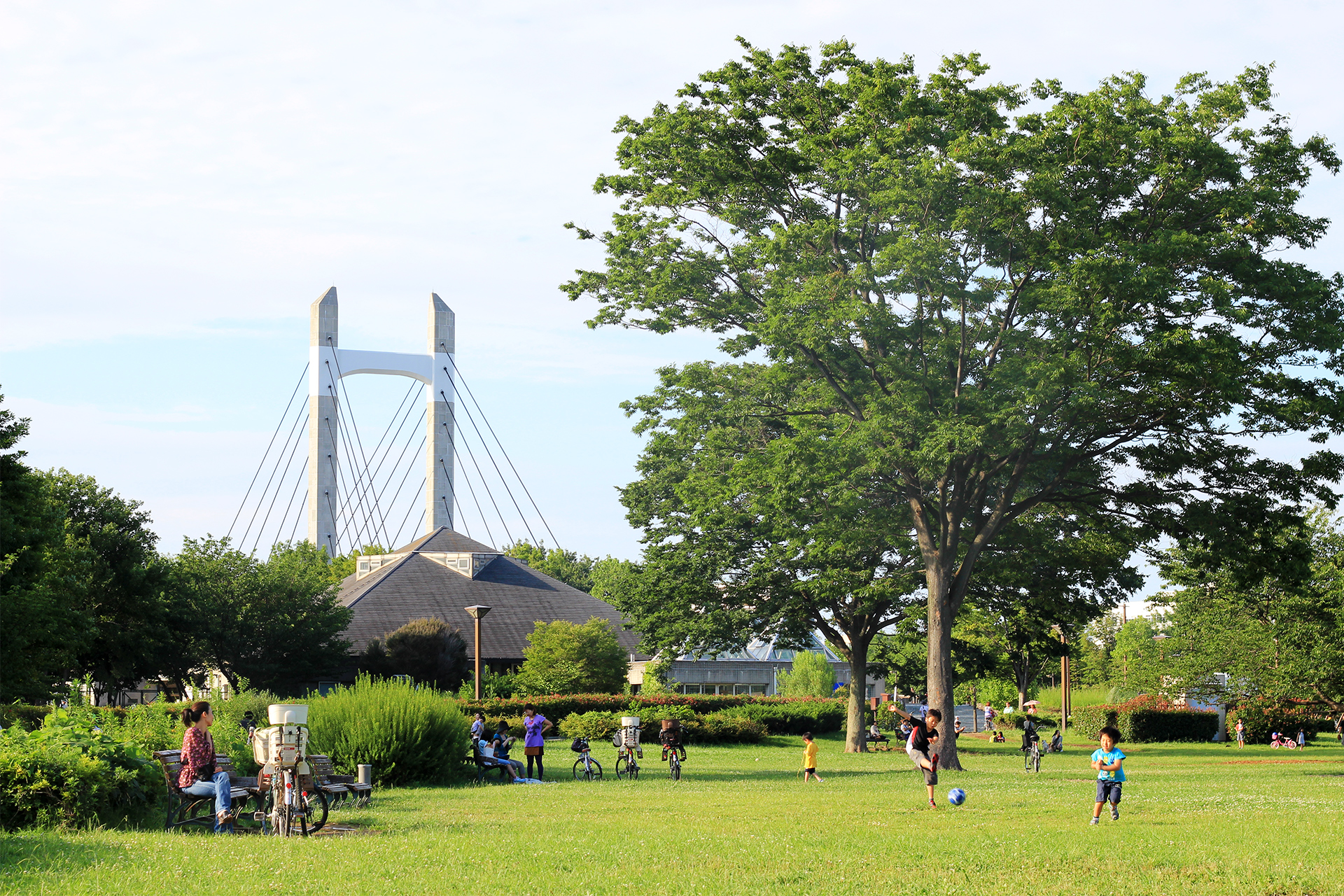 木場公園