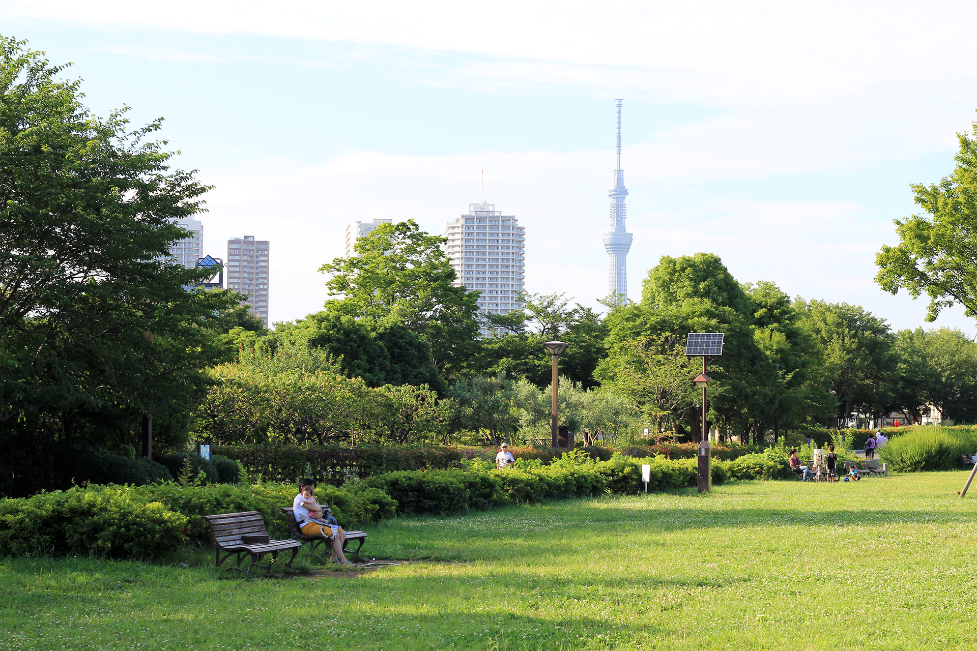 木場公園とスカイツリー