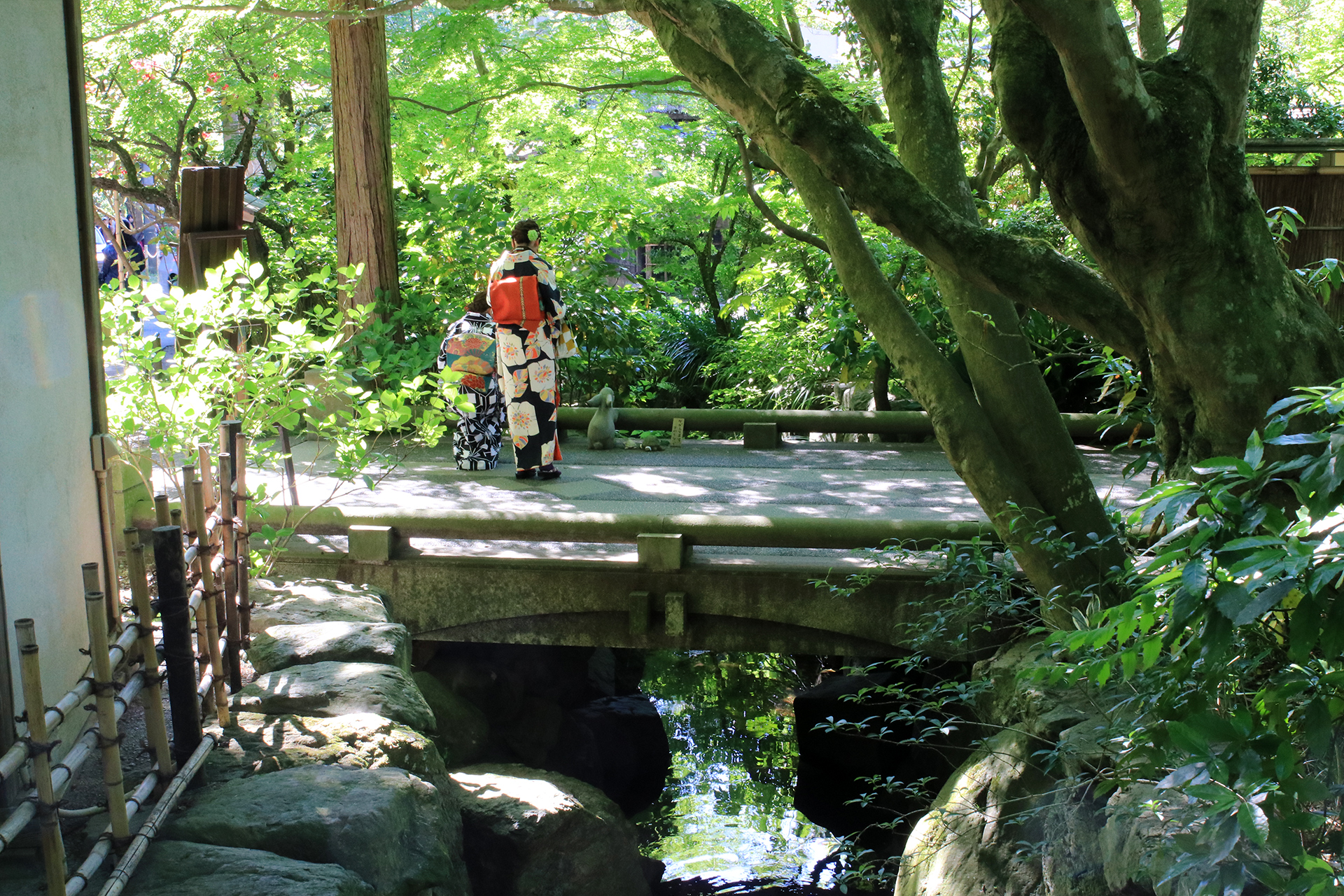 明月院、きもの姿の女性