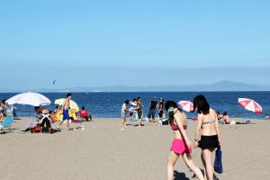 三浦海岸の海水浴場