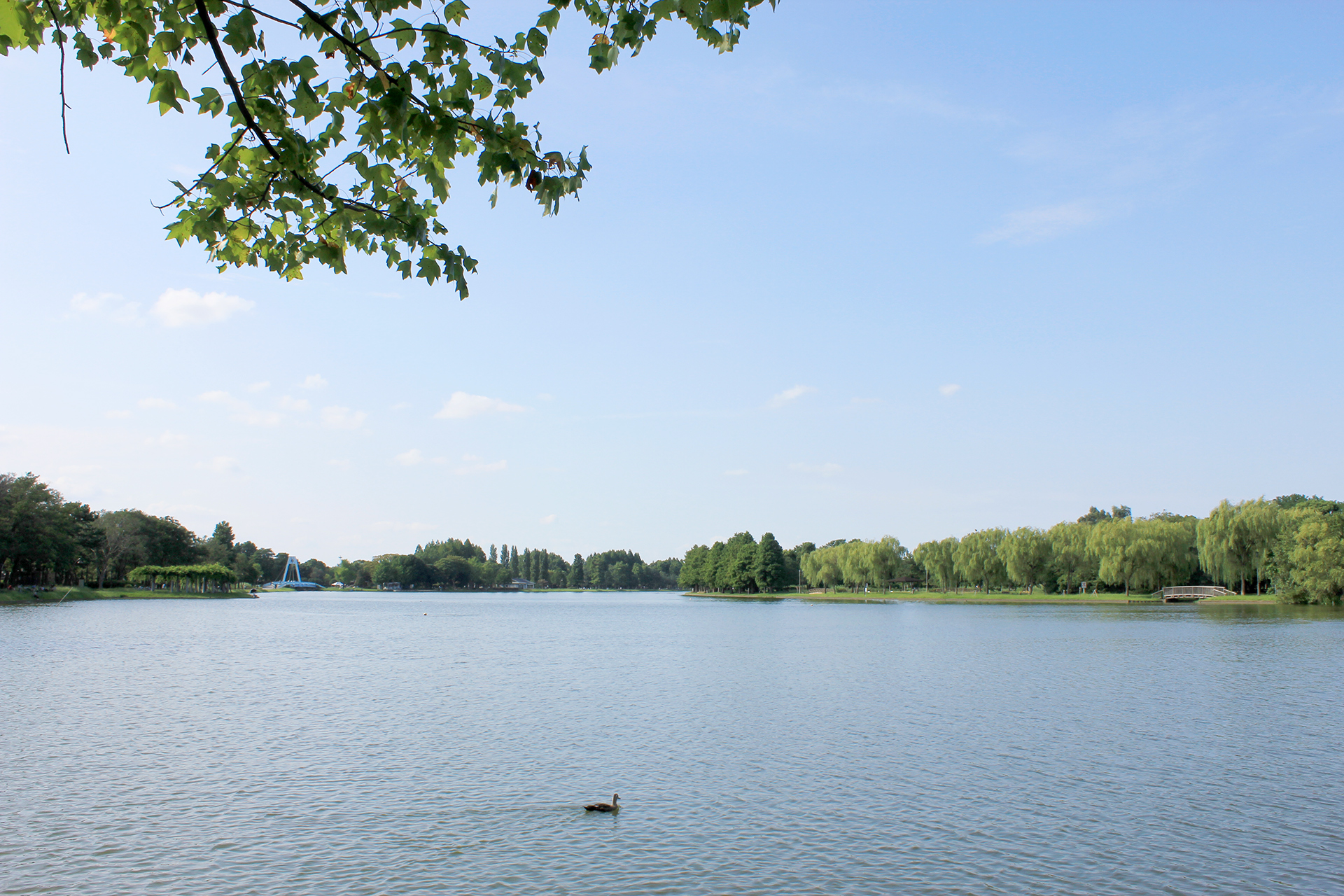 水元公園