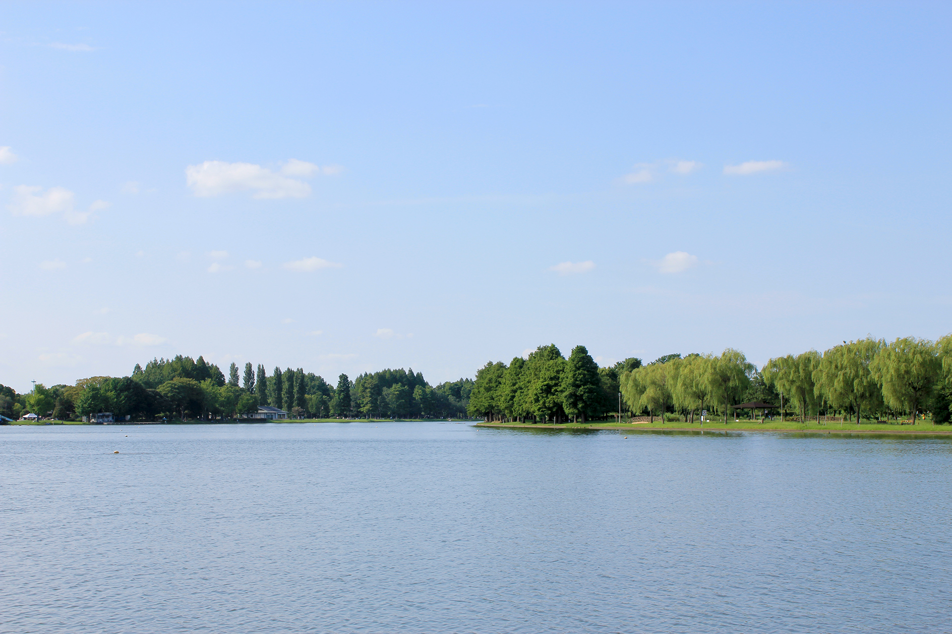 水元公園