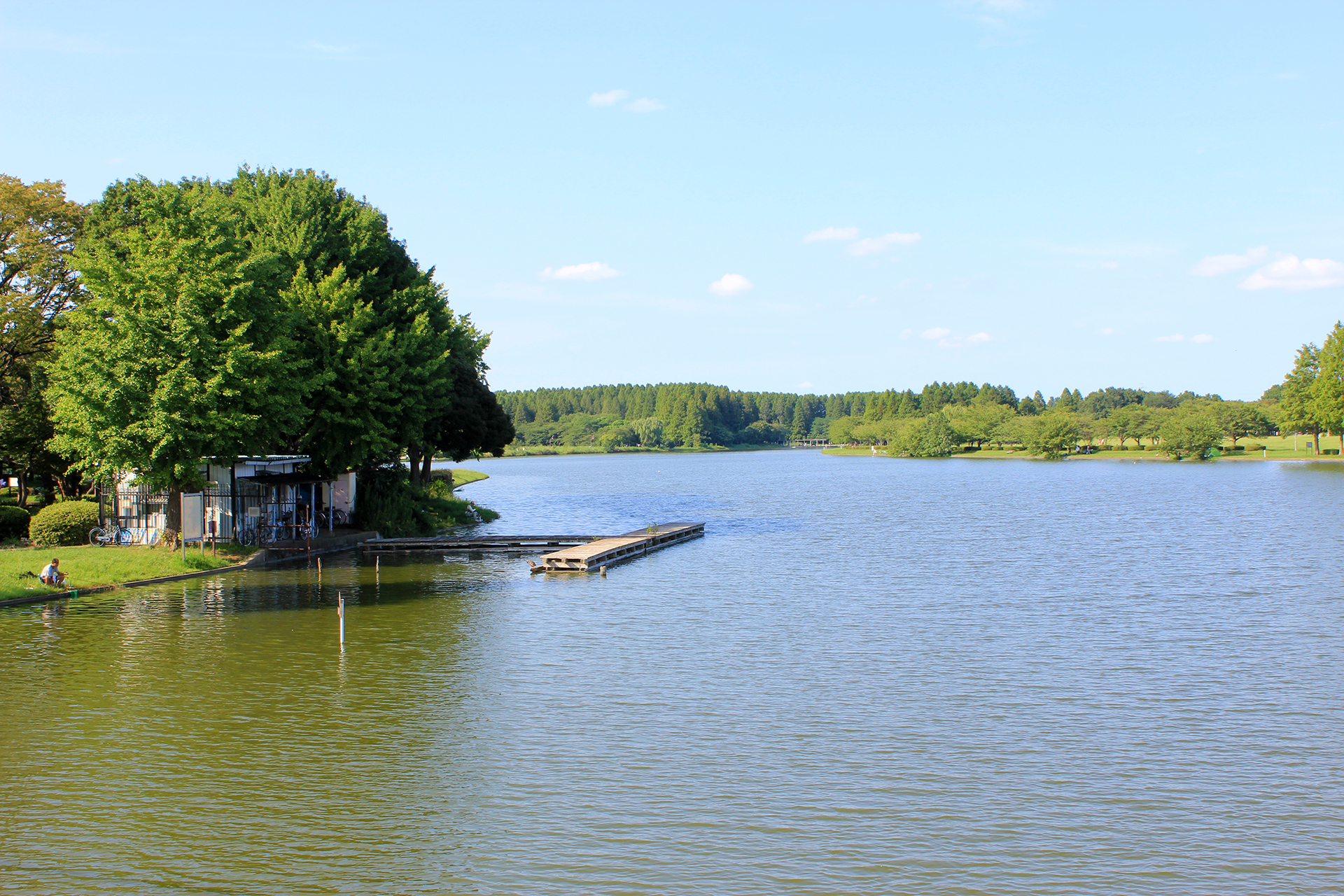 水元公園