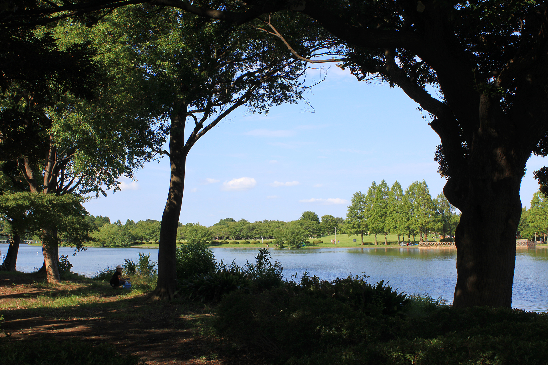 水元公園