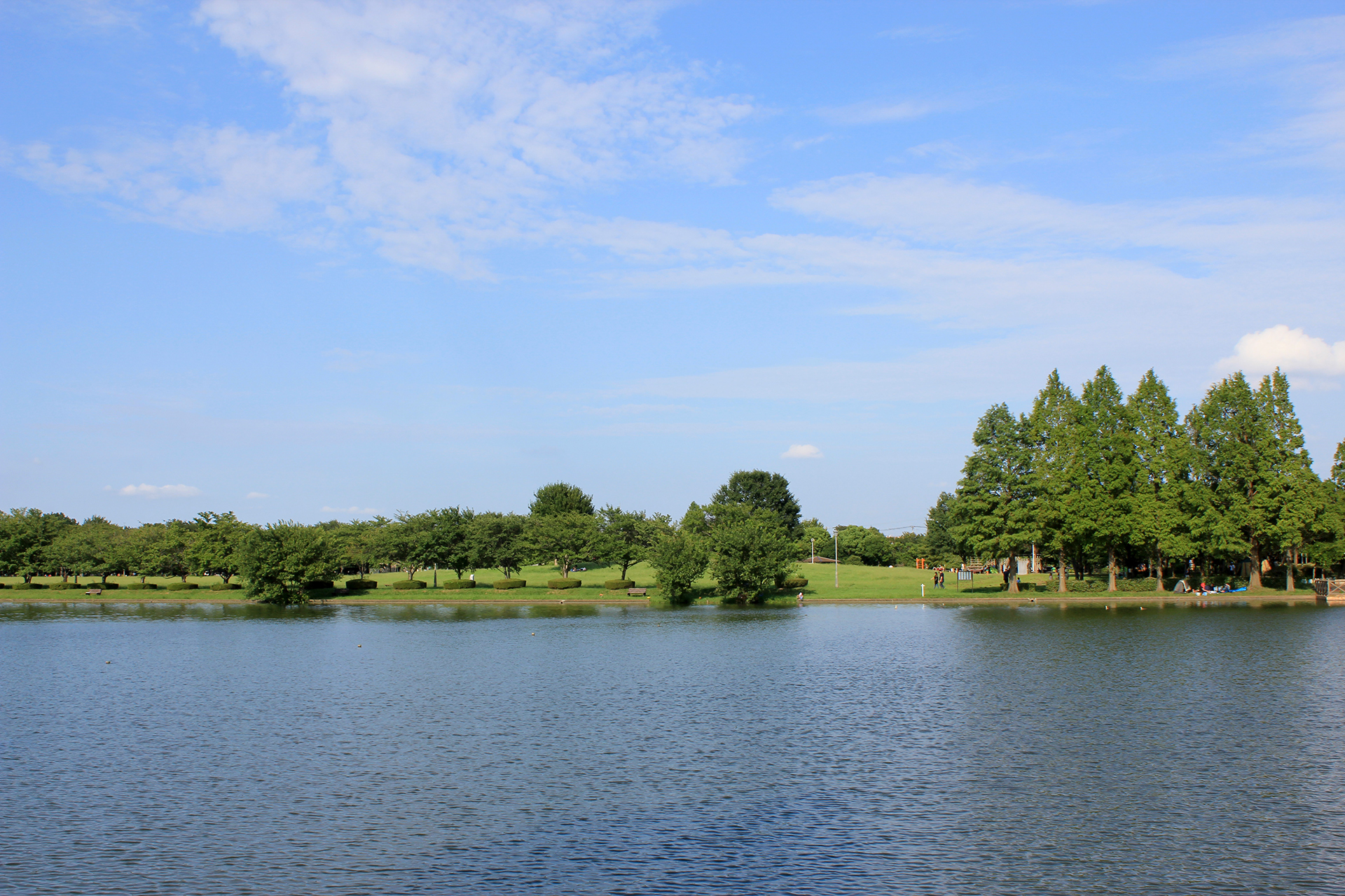 水元公園