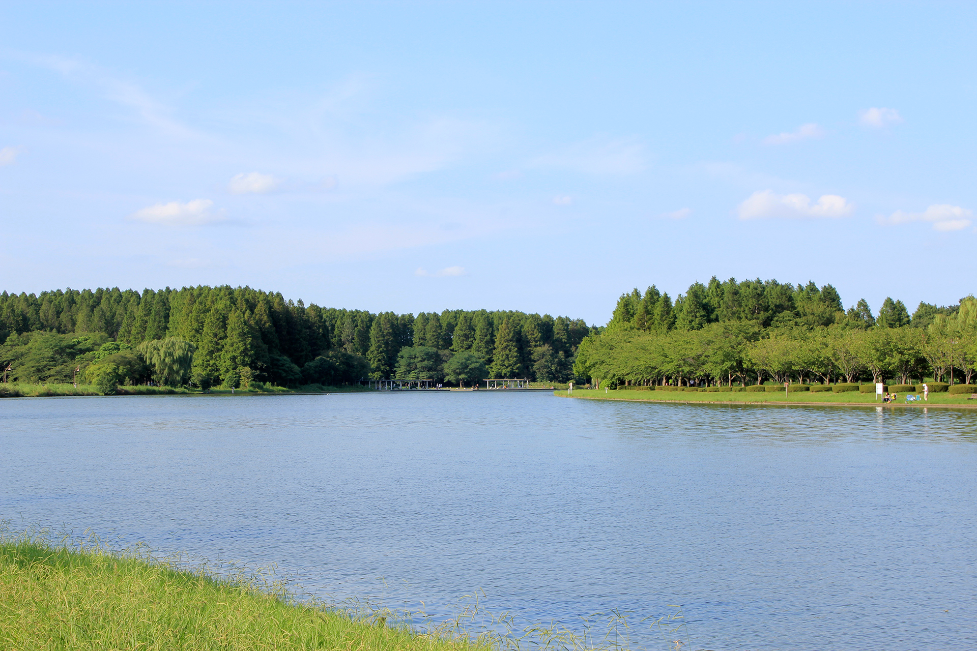 水元公園