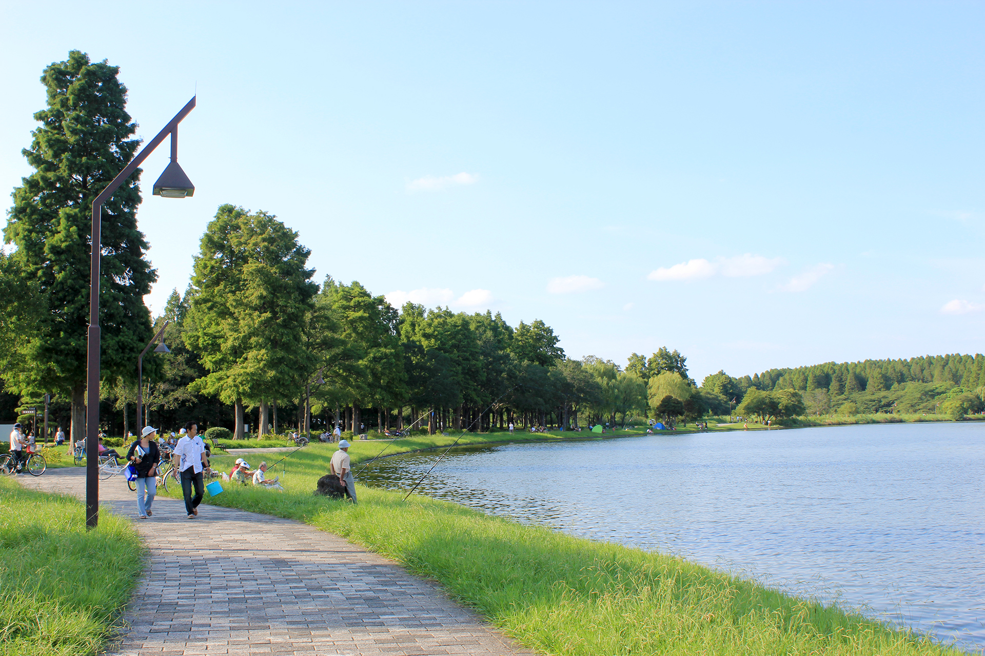 水元公園