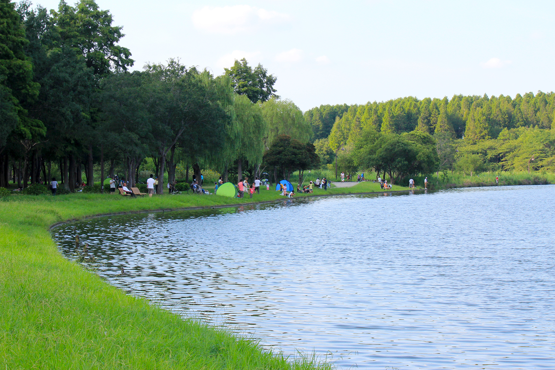 水元公園