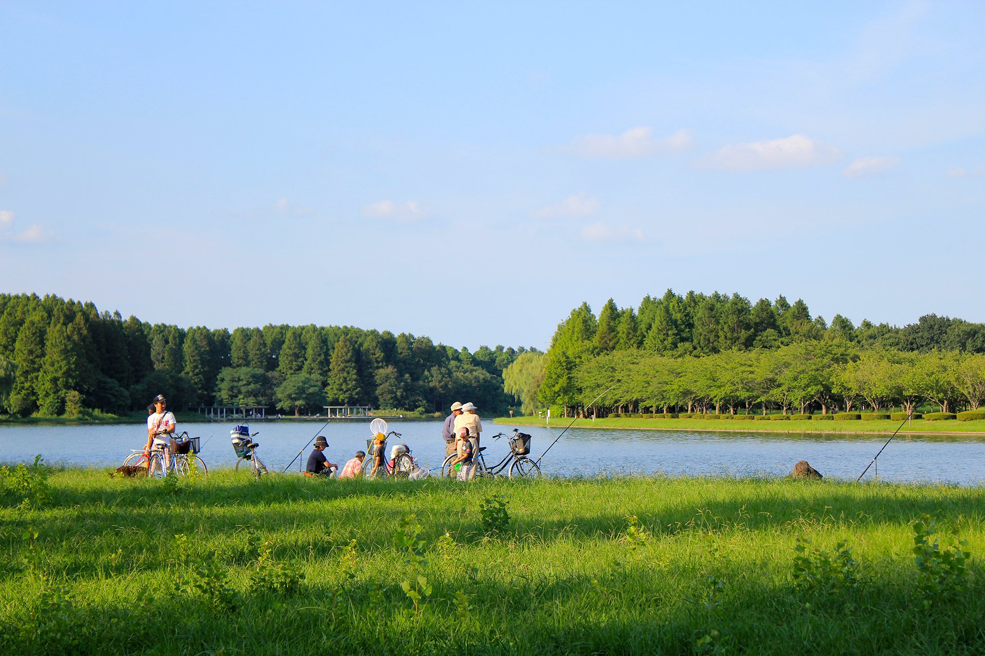 水元公園の釣り人