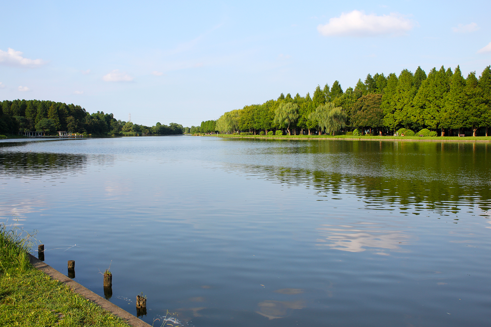 水元公園