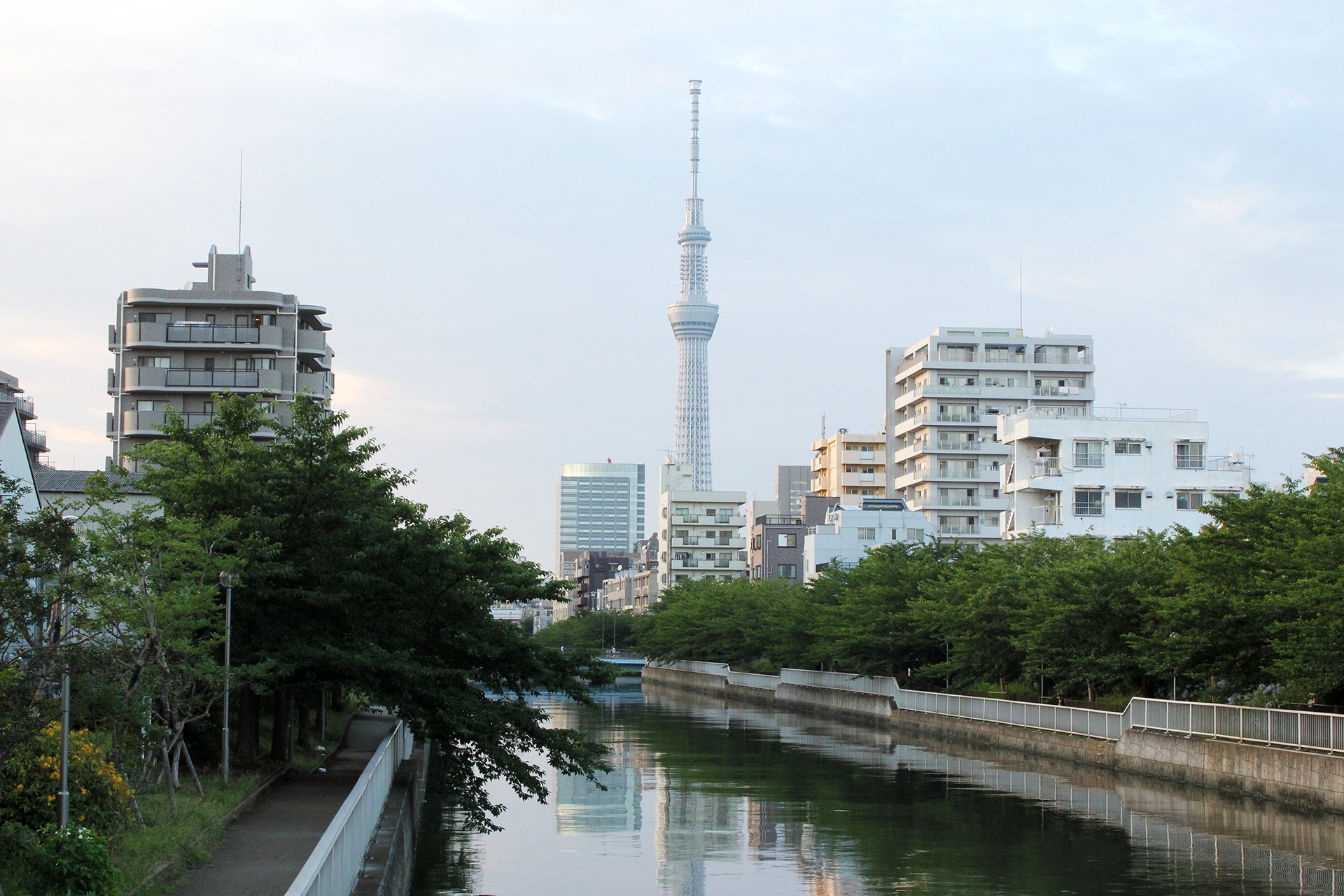 大横川とスカイツリー